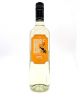 Double Dog Dare Sweet Peach